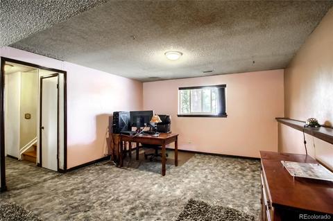 4454 E 118th Pl, Thornton, CO 80233 photo 25