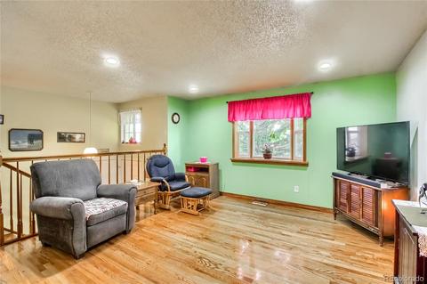 4454 E 118th Pl, Thornton, CO 80233 photo 4