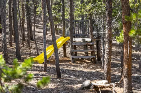 452 Pine Cone Dr, Ward, CO 80481 photo 31