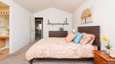 5342 Badger Ln, Frederick, CO 80504 photo 21
