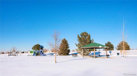 5342 Badger Ln, Frederick, CO 80504 photo 4
