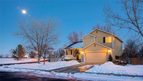 5342 Badger Ln, Frederick, CO 80504 photo 35