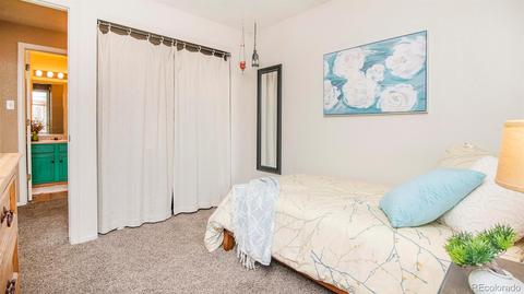 5342 Badger Ln, Frederick, CO 80504 photo 26