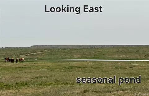 County Rd 96 Lot 2, Pierce, CO 80520
