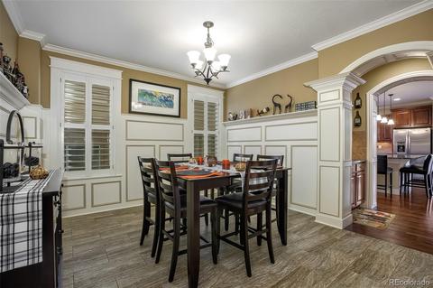 20175 Spruce Point Pl, Parker, CO 80134 photo 32
