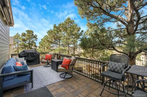 20175 Spruce Point Pl, Parker, CO 80134 photo 33