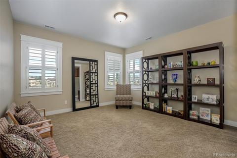 20175 Spruce Point Pl, Parker, CO 80134 photo 20