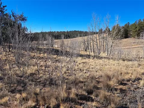 209 Crooked Rock Path, Como, CO 80432 photo 2