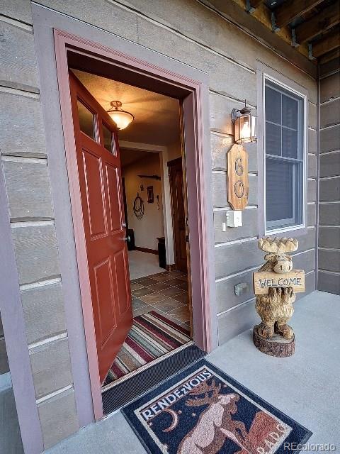 60 Discovery Ln, Fraser, CO 80442 photo 3
