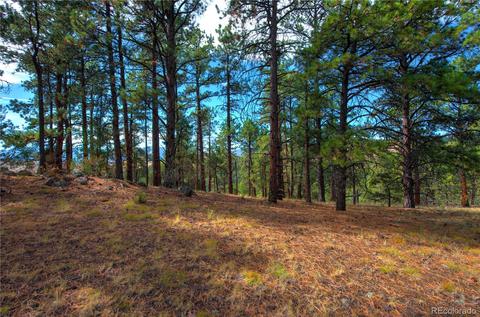 31266 Half Peak Trl, Pine, CO 80470 photo 6