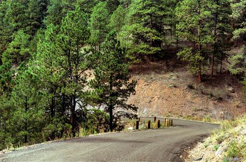 31266 Half Peak Trl, Pine, CO 80470 photo 20