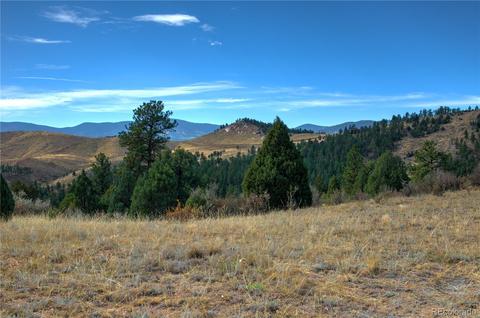 31266 Half Peak Trl, Pine, CO 80470 photo 12