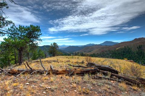 31266 Half Peak Trl, Pine, CO 80470 photo 8