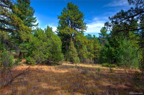 31266 Half Peak Trl, Pine, CO 80470 photo 17