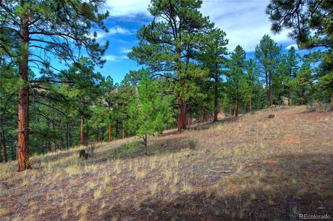 31266 Half Peak Trl, Pine, CO 80470 photo 5