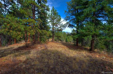 31266 Half Peak Trl, Pine, CO 80470 photo 10