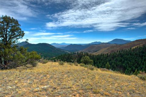 31266 Half Peak Trl, Pine, CO 80470 photo 19