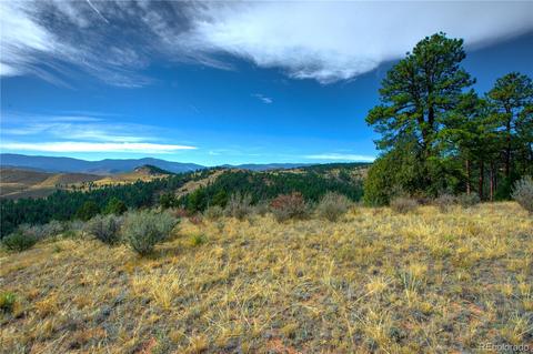 31266 Half Peak Trl, Pine, CO 80470 photo 16