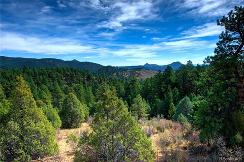 31266 Half Peak Trl, Pine, CO 80470 photo 7