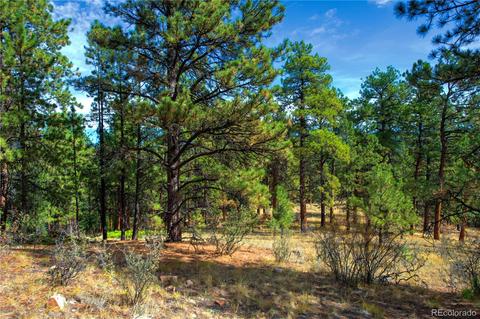 31266 Half Peak Trl, Pine, CO 80470 photo 15