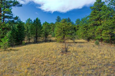 31266 Half Peak Trl, Pine, CO 80470 photo 3