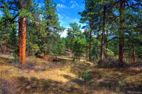 31266 Half Peak Trl, Pine, CO 80470 photo 14