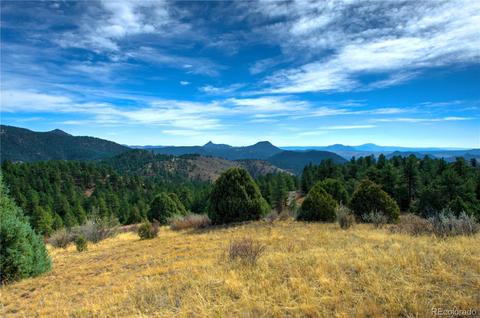 31266 Half Peak Trl, Pine, CO 80470 photo 13