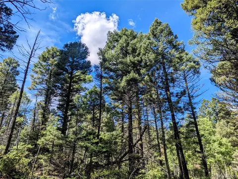 Lot 6162 Batton Road, Fort Garland, CO 81133