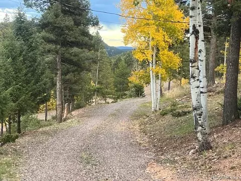 Other - 24967 Red Cloud Dr, Conifer, CO 80433 photo 8 of 10