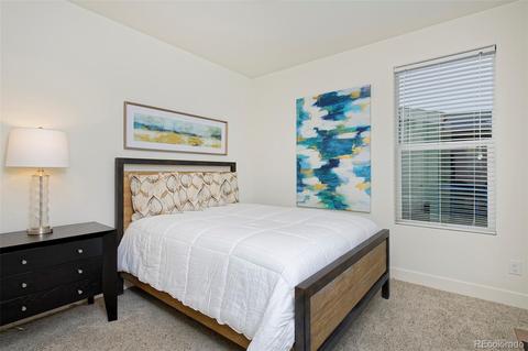 9253 E 61st Pl, Denver, CO 80238 photo 22