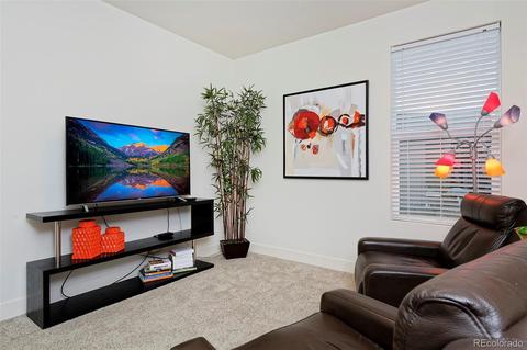 9253 E 61st Pl, Denver, CO 80238 photo 19