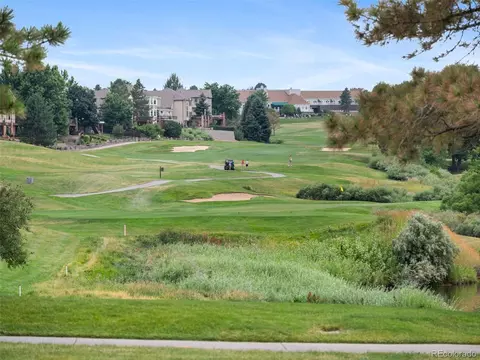 Other - 8159 Lodgepole Trl, Lone Tree, CO 80124 photo 7 of 7