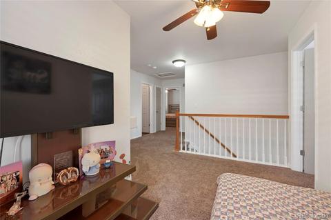 20064 E 49th Pl, Denver, CO 80249 photo 14