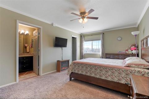 20064 E 49th Pl, Denver, CO 80249 photo 16