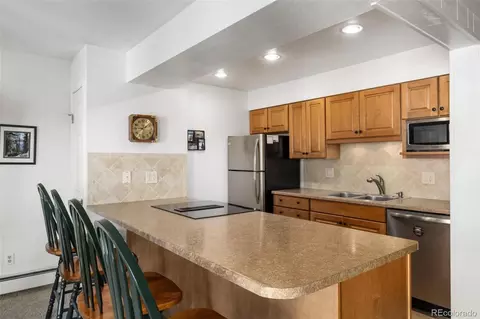 176 E La Bonte St #302, Dillon, CO 80435 photo 4