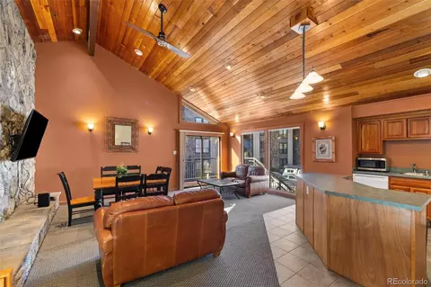 176 E La Bonte St #302, Dillon, CO 80435 photo 14