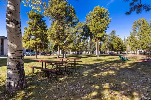176 E La Bonte St #302, Dillon, CO 80435 photo 17