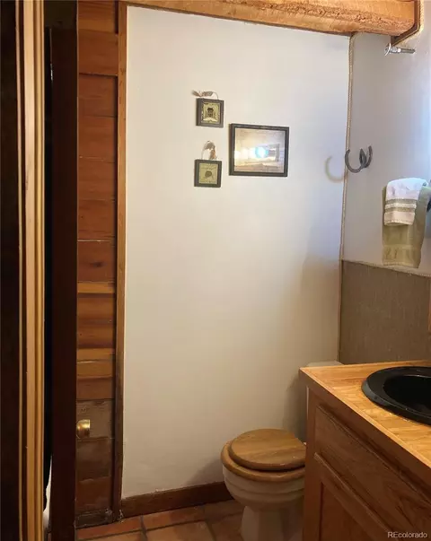 77 E Crosscut, Bailey, CO 80421 photo 37