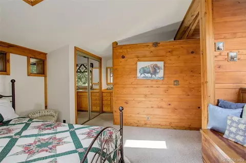 77 E Crosscut, Bailey, CO 80421 photo 35