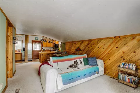 77 E Crosscut, Bailey, CO 80421 photo 26