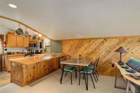 77 E Crosscut, Bailey, CO 80421 photo 24