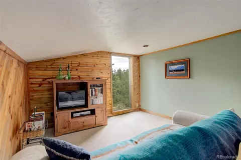 77 E Crosscut, Bailey, CO 80421 photo 28