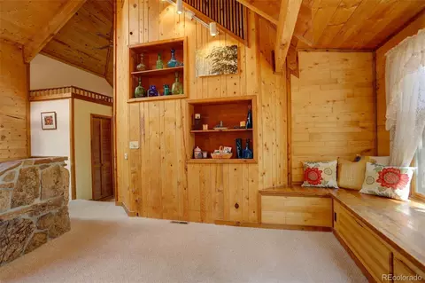 77 E Crosscut, Bailey, CO 80421 photo 9
