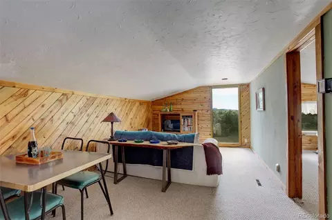 77 E Crosscut, Bailey, CO 80421 photo 25