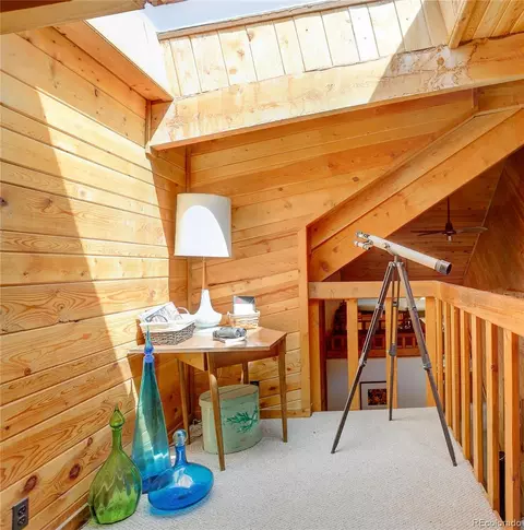 77 E Crosscut, Bailey, CO 80421 photo 32