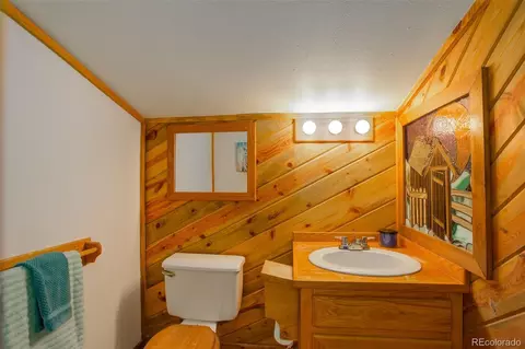 77 E Crosscut, Bailey, CO 80421 photo 29