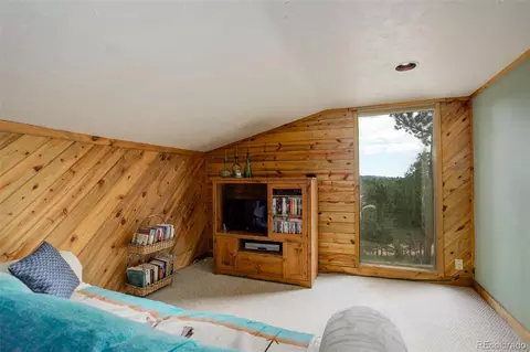 77 E Crosscut, Bailey, CO 80421 photo 27