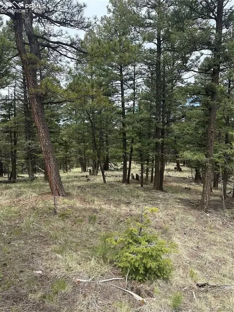 11201086 N Mountain Estates Rd, Florissant, CO 80816