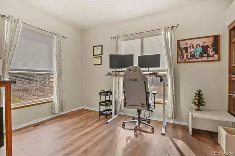 Other - 16273 Windsor Creek Dr, Monument, CO 80132 photo 3 of 12