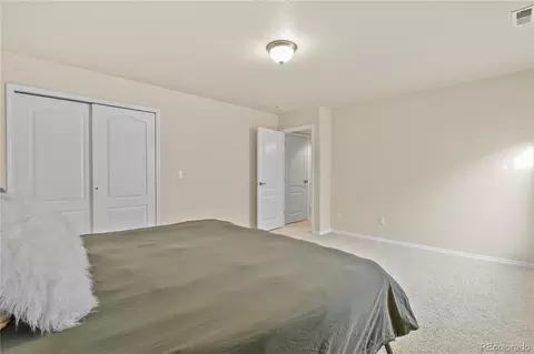 Bedroom - 16273 Windsor Creek Dr, Monument, CO 80132 photo 11 of 11
